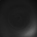 Deep Round Bowl 10" - Neo Fusion Black